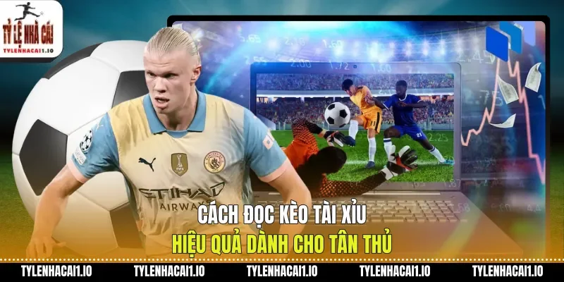 Cách Đọc Kèo Tài Xỉu Hiệu Quả Dành Cho Tân Thủ