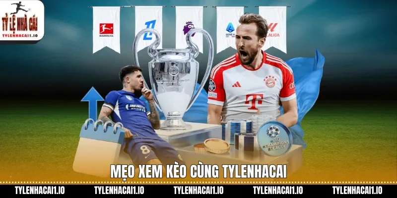 meo xem keo cung tylenhacai 04