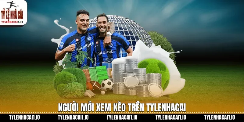 Người mới xem kèo trên tylenhacai