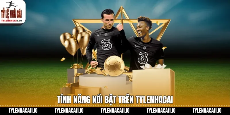 Tính năng nổi bật trên tylenhacai